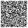 QR code with C Wall contacts