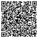 QR code with Helmet contacts