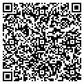 QR code with Subway contacts
