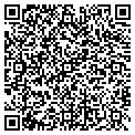 QR code with G&G Lawn Svcs contacts