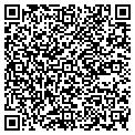 QR code with Vsgerc contacts