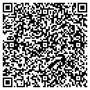QR code with Gt Spiderweb contacts