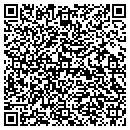 QR code with Project Architect contacts