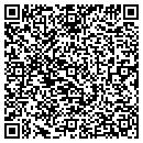 QR code with Publix contacts