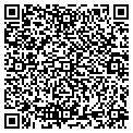 QR code with Nesco contacts