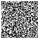 QR code with Ppg Refinish contacts