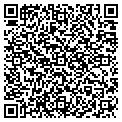 QR code with Logile contacts
