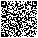 QR code with Towing contacts
