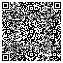 QR code with Pretty In Paint contacts