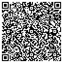 QR code with Styles Vicious contacts