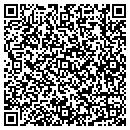 QR code with Professional Four contacts