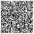 QR code with Babbs Plastering Inc contacts