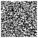 QR code with Precise Auto contacts