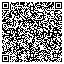 QR code with Professional Labor contacts