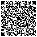 QR code with Pursuit Boats contacts