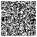 QR code with Shell contacts