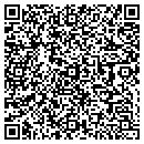 QR code with Bluefish LLC contacts