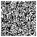 QR code with Prime 66 Partners L P contacts