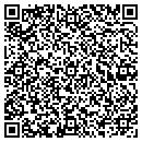 QR code with Chapman Carolyn N MD contacts