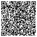 QR code with W Gstn contacts
