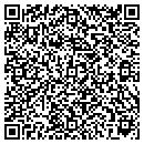 QR code with Prime Site Realty Inc contacts