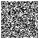 QR code with Pt Squared LLC contacts
