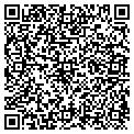QR code with Obsi contacts