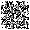 QR code with Precise Services contacts