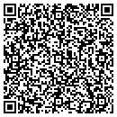 QR code with Curtis A Meske Md Inc contacts