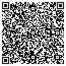 QR code with Profix Auto Service contacts