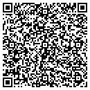 QR code with Christiansen Carol A contacts