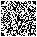 QR code with Cadence Arts Network contacts