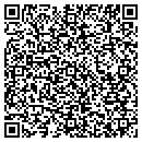 QR code with Pro Auto Brokers LLC contacts