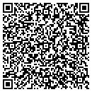 QR code with P3automotive contacts