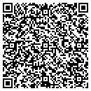 QR code with Psycologial Services contacts