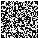 QR code with Premier Auto contacts