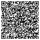 QR code with Boulevard Automotive contacts