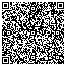 QR code with Ct Mobile Auto Detail contacts