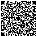 QR code with Precise Auto contacts