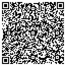QR code with Cjm Automotive Group contacts