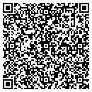 QR code with Pro Auto contacts