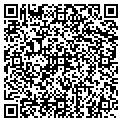 QR code with Todo Auto Lc contacts