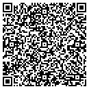 QR code with Prizm Collision contacts