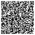 QR code with Bvthoa contacts