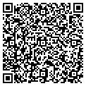 QR code with Colliers contacts
