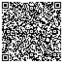 QR code with Premire Auto Group LLC contacts
