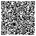 QR code with Fallis contacts