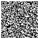 QR code with Carpet Store contacts