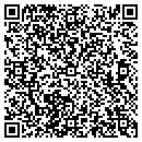 QR code with Premier Service Center contacts