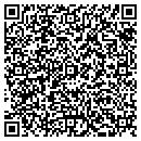 QR code with Styles Miles contacts